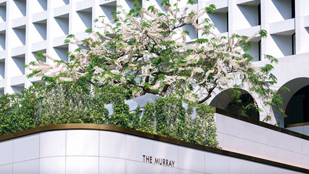 海港去年虧損大幅收窄至2400萬