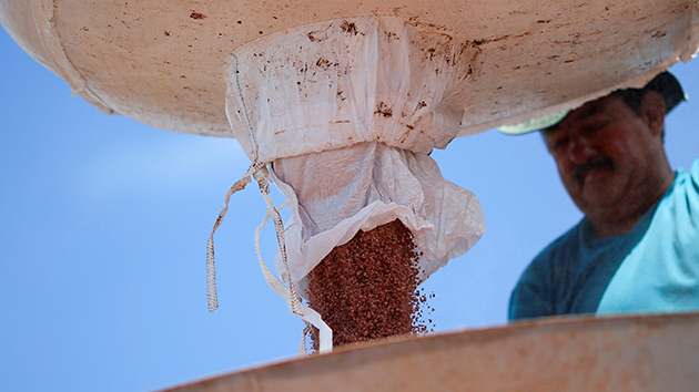 23%化肥自俄羅斯進口 巴西專家：巴西乃至全世界將面臨化肥短缺