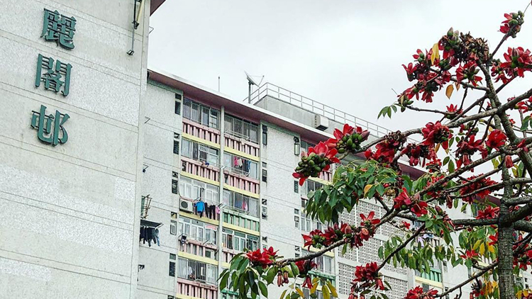 港府今午4時起圍封深水埗麗閣邨麗萱樓進行強制檢測