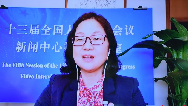 全國人大代表單曉明：呼籲把湖南打造成低空短途運輸示範省