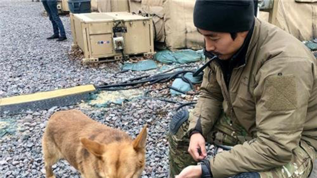 韓外交部：對擅自入烏公民進行行政制裁