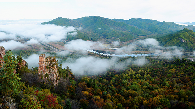 黑龍江南岔縣：擦亮「北藥小鎮」 打造中藥材基地建設示範縣