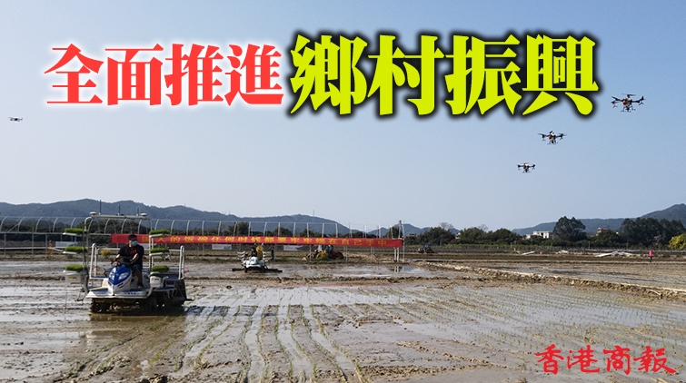 廣東水稻等主要農作物良種覆蓋率超98% 各項指標均居全國前列