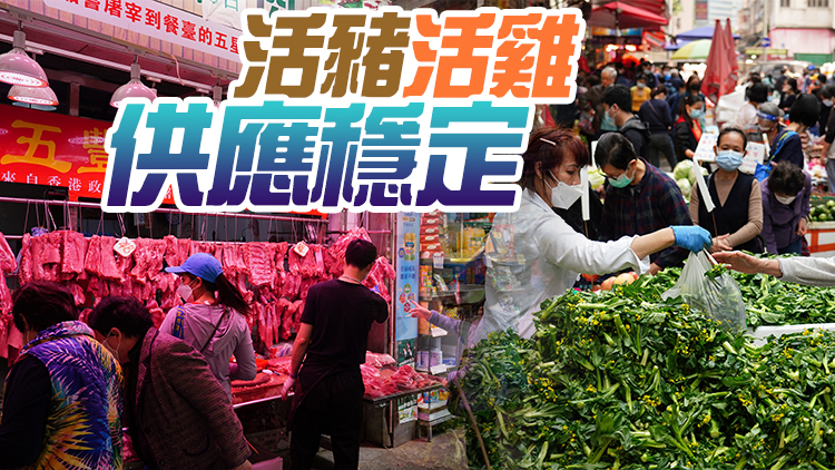 11日內地供港蔬菜2400公噸 冰鮮豬肉家禽貨量分別42公噸及11萬隻