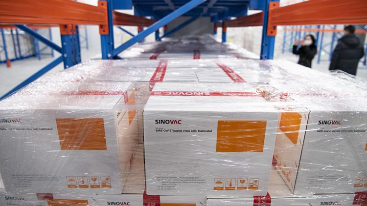 第九批約140萬劑科興疫苗運抵本港