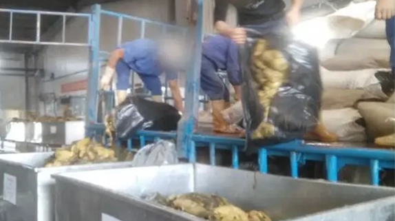 康師傅凌晨發聲明致歉：插旗菜業是其酸菜供應商