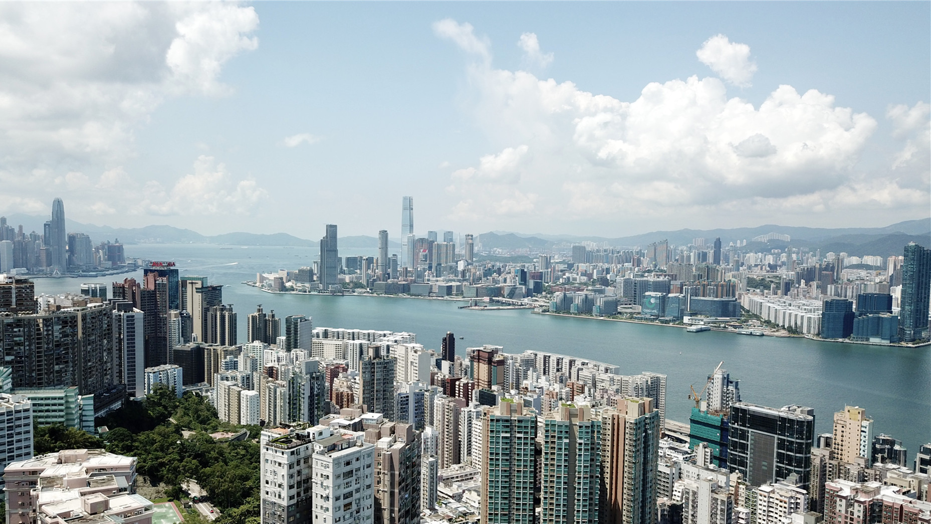 撐港抗疫促粵港澳大灣區融合共進