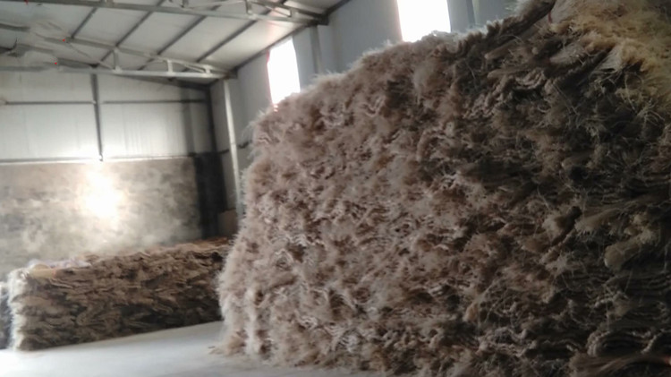 河南連夜處置禹州粉條事件  6家企業停產整頓