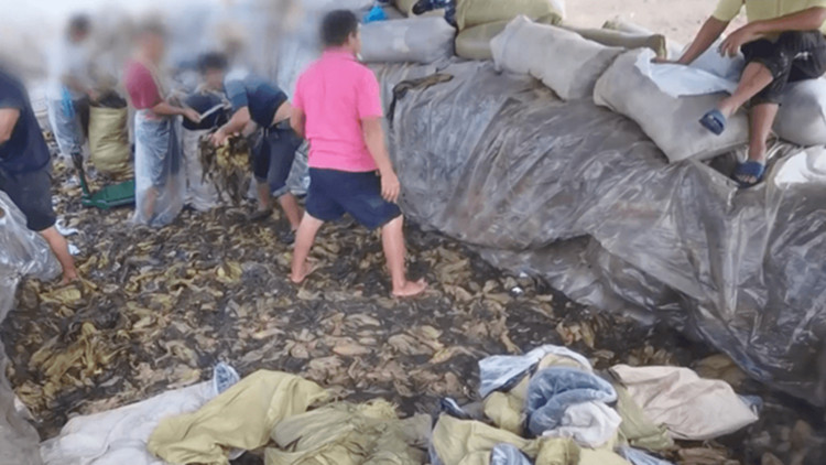 插旗菜業董事長：深感慚愧 向廣大消費者道歉