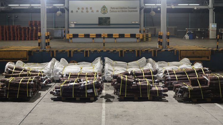 海關檢獲懷5170公斤疑受管制紫檀木 市值715萬元