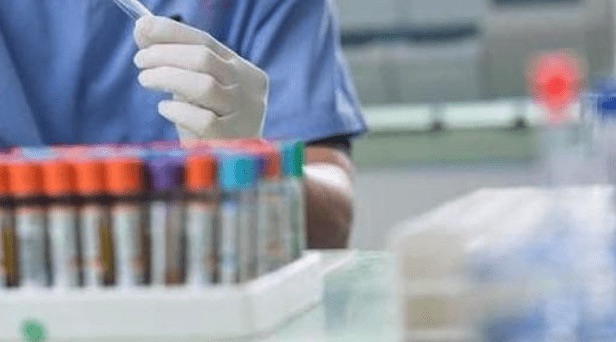 深圳福田最新通知：異地健康檢測14天 小型寵物可陪同隔離