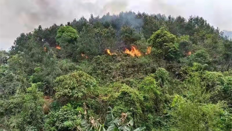 劉鶴王勇赴梧州指導東航客機墜毀事故救援善後等工作