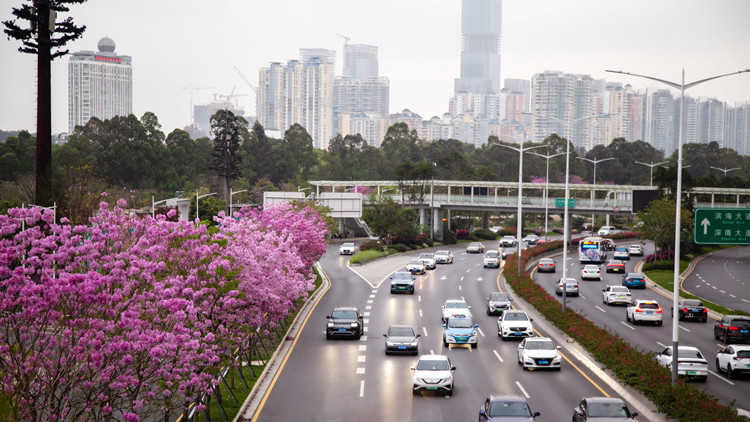 減免房租！深圳好房東火了