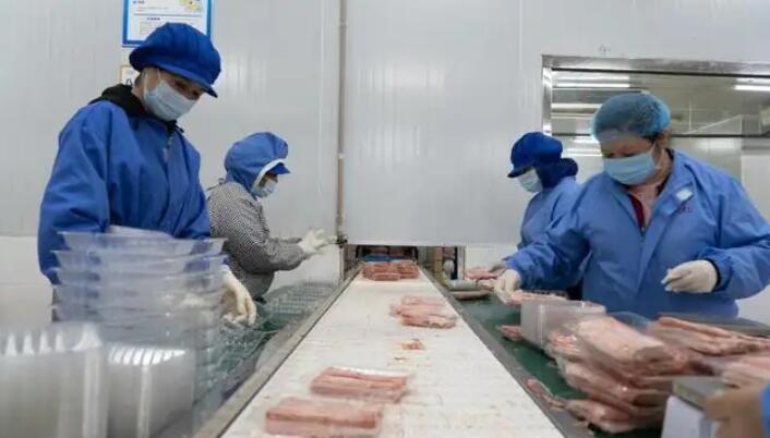 從「田間」到「餐桌」 廣東布局預製菜萬億市場走向全球