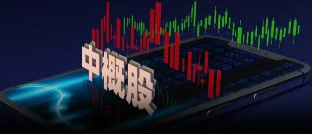 中概股公司和投資機構今參加證監會視頻交流