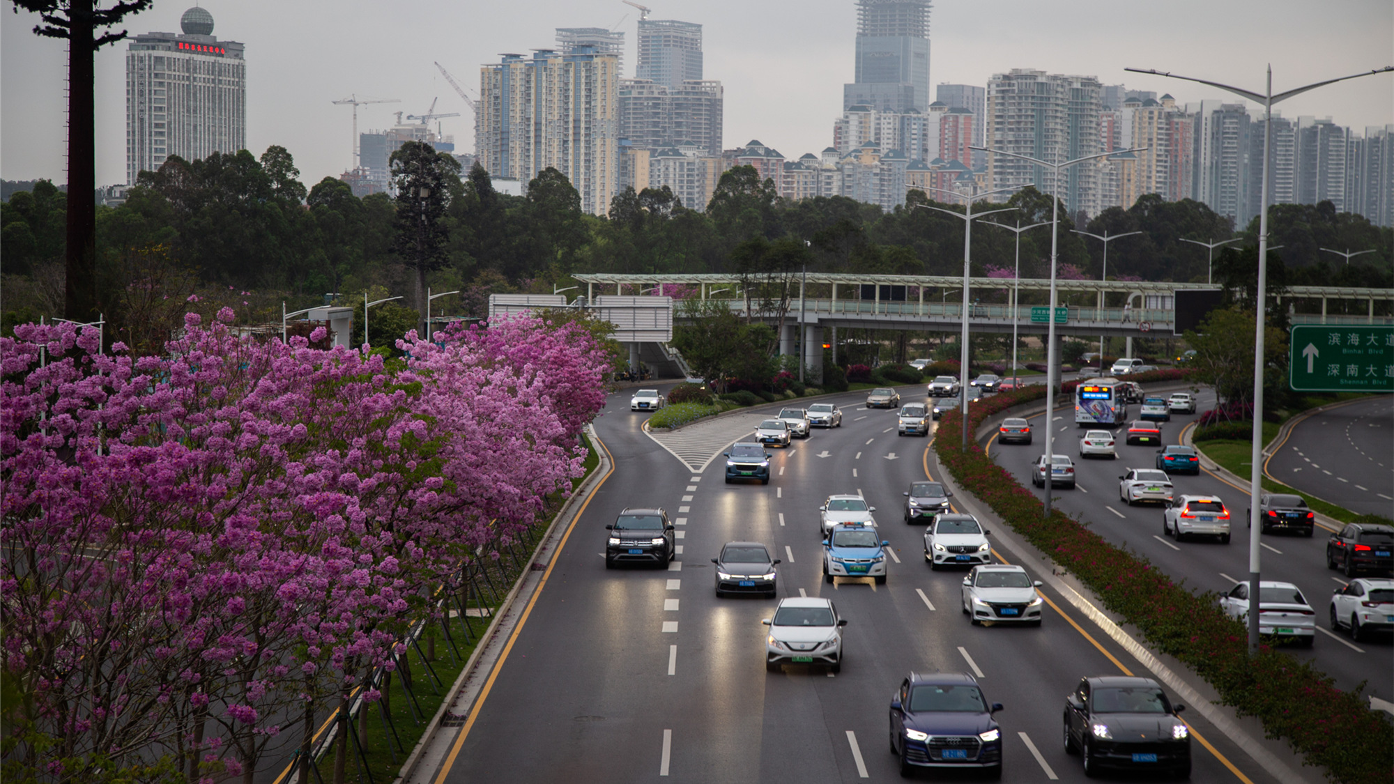 來啦！深圳疫情防控相關最新問答