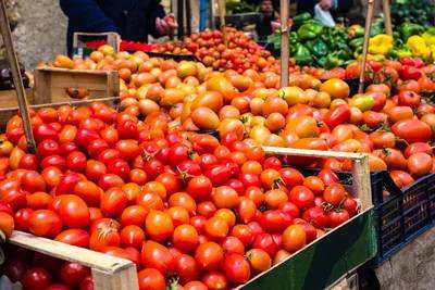 10萬家農企或將關閉 意大利農產品出口面臨巨大風險