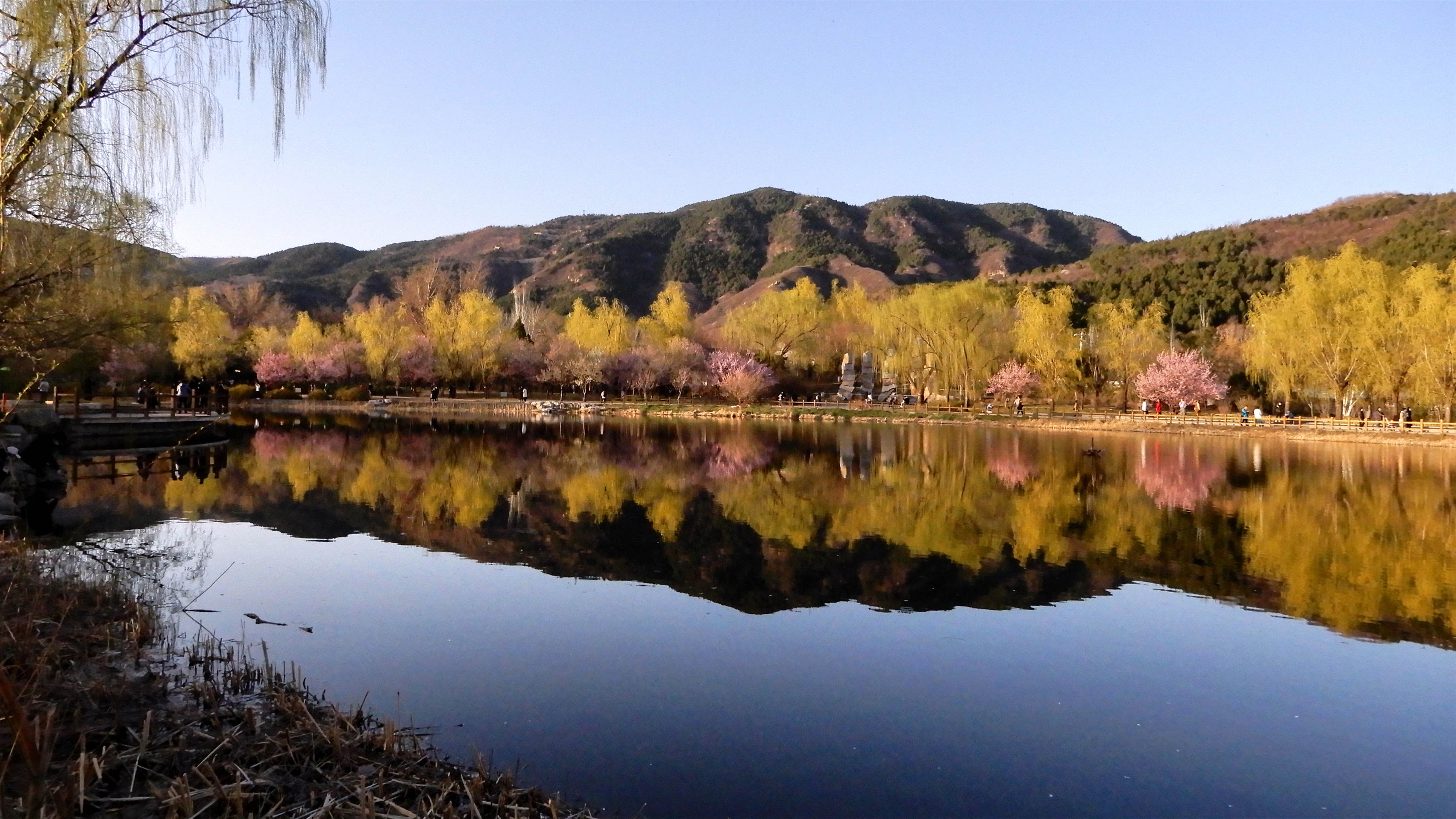 【組詩】清明短章