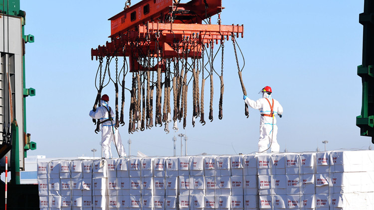 美中貿委會：2021年美對華商品出口增長21.3% 創歷史新高