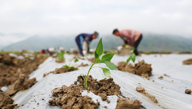 中國官方：2025年基本建立文化產業賦能鄉村振興的有效機制