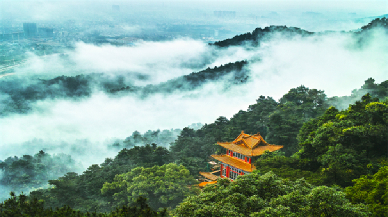 廣西貴港：加強與大灣區文化聯動深化旅遊產業合作