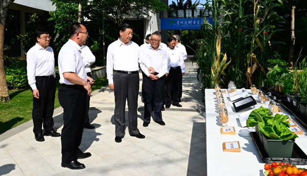 習近平在海南三亞市考察調研