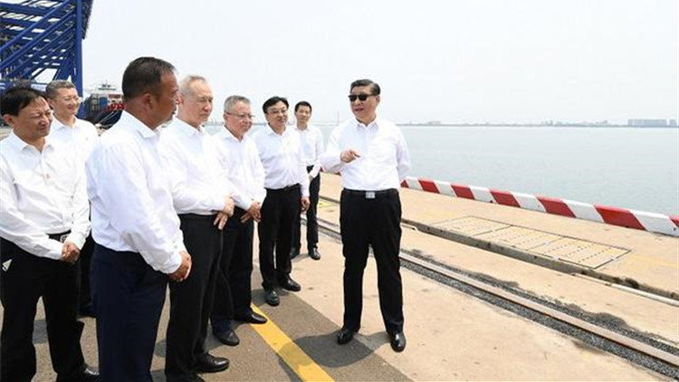 有片｜習近平在海南洋浦經濟開發區考察調研