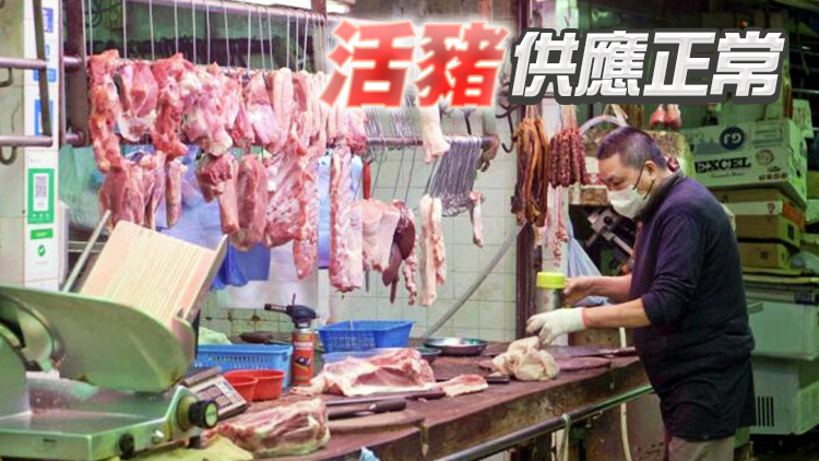 13日內地供港蔬菜約2400公噸 菜芯批發價降至6.9元