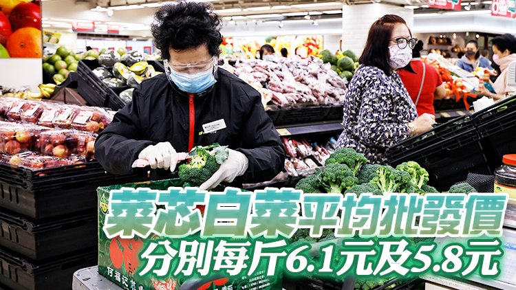 14日內地供港蔬菜2400公噸 鮮活食品供應充足穩定