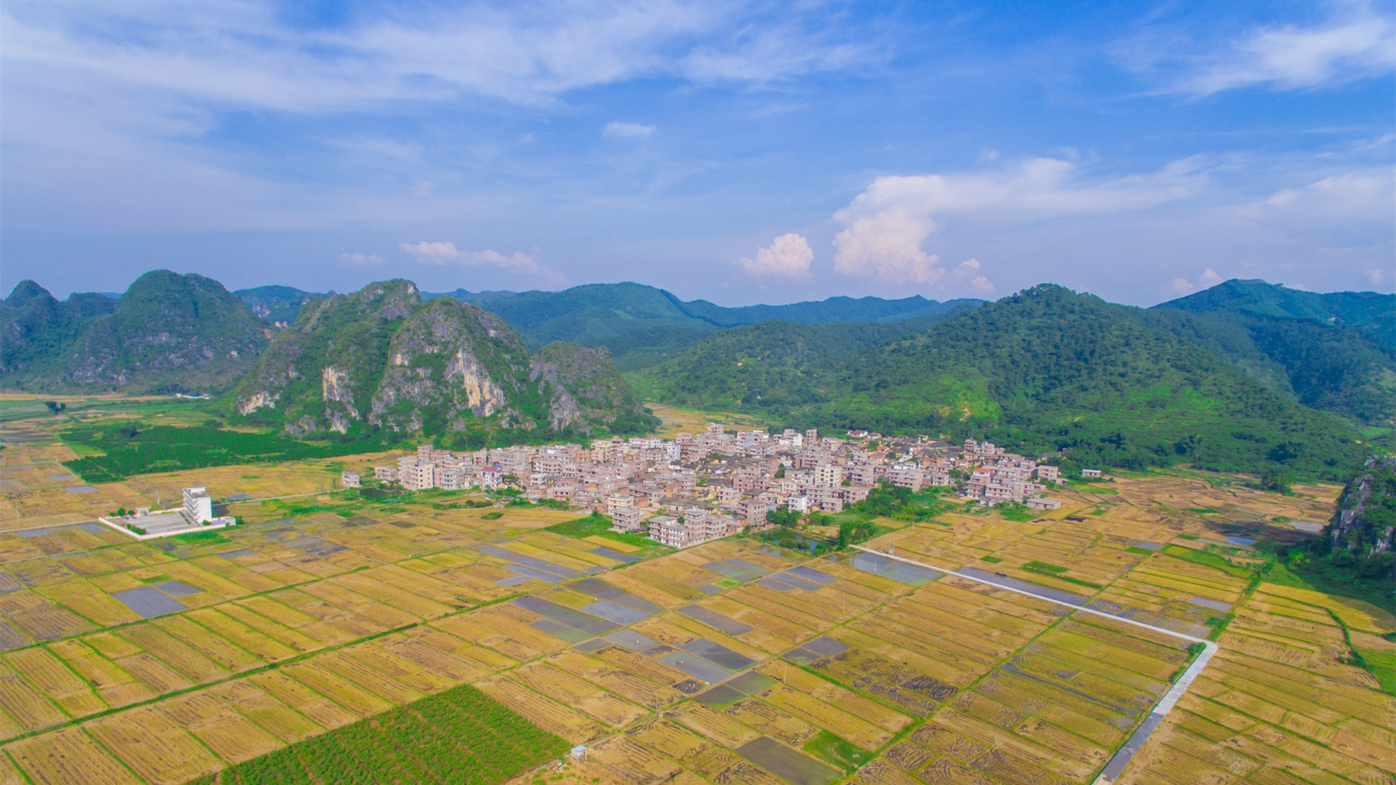 守住耕地紅線！廣東確保今年完成土壤三普試點任務