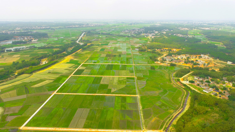 廣東多地市成功開具高標農田建後管護金融保險保單