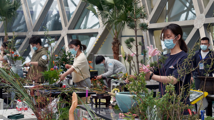 中國新修訂職業教育法5月1日起施行