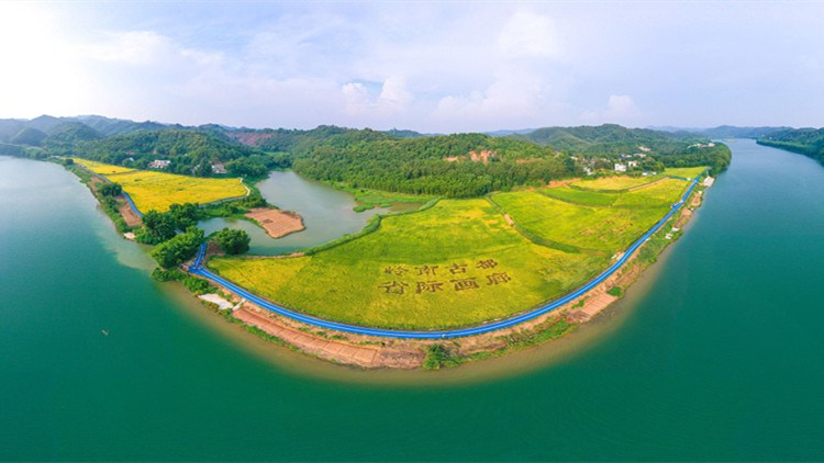 多項經驗做法在全國推廣！廣東鄉村振興跑出加速度