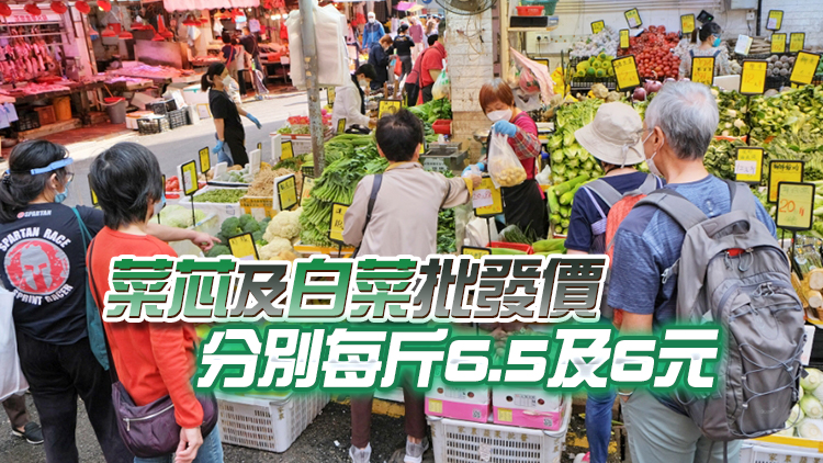 26日內地供港蔬菜逾2500公噸 鮮活食品供應充足穩定
