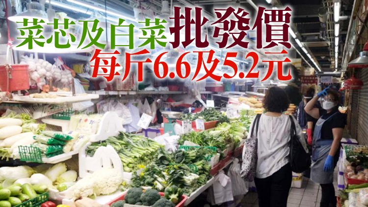 28日供港蔬菜逾2500公噸 鮮活食品供應充足穩定