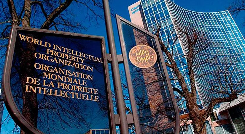 中國加入「海牙協定」生效首日 近七成外觀專利申請來自廣東