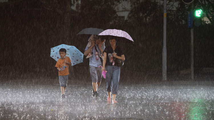 廣州多區發布暴雨黃色預警！一地停課部分景點暫時關閉