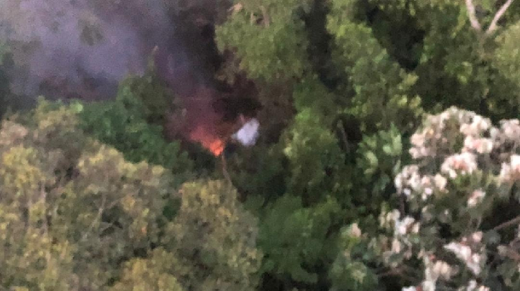 【追蹤報道】喀麥隆搭載11人的失聯飛機已確認墜毀