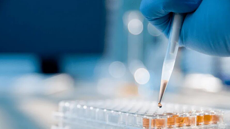 雲康首掛平開後下插一成 每手帳面蝕410元