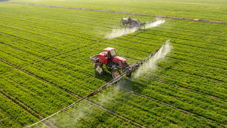國家糧食和儲備局：今年夏糧最低收購價全面提高