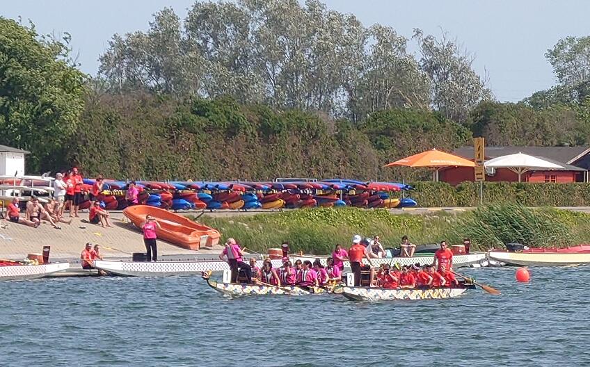 第3届巴塞羅那香港國際龍舟節举行 20多支龍舟運動隊伍參加