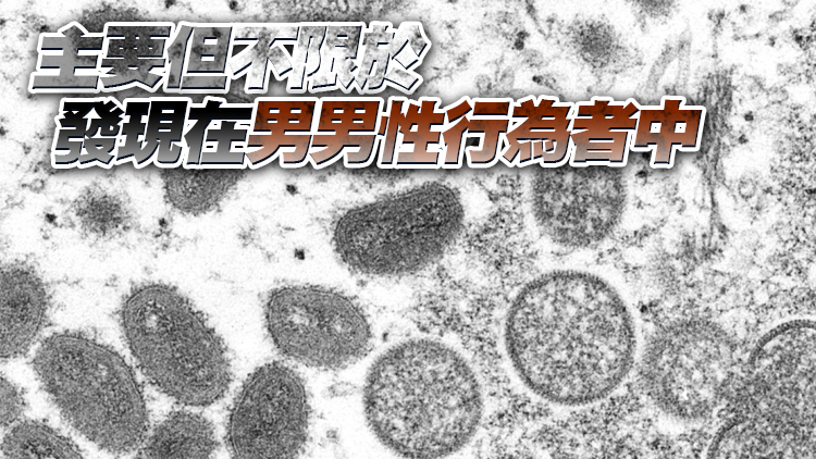 世衛組織發布猴痘疫情暴發預警
