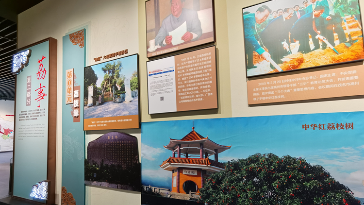 有片｜廣東茂名：2022中國荔枝龍眼產業大會5月29日如期舉行