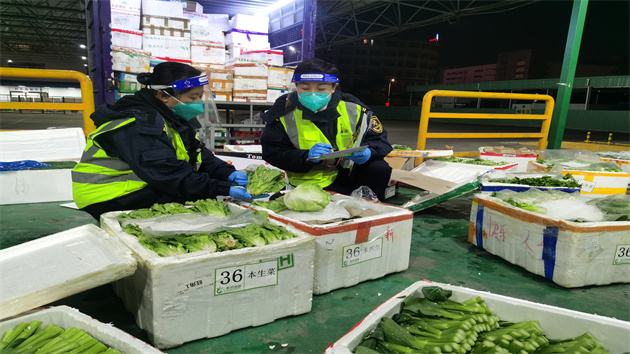 「綠色通道」助力新鮮蔬菜供港通關「加速度」