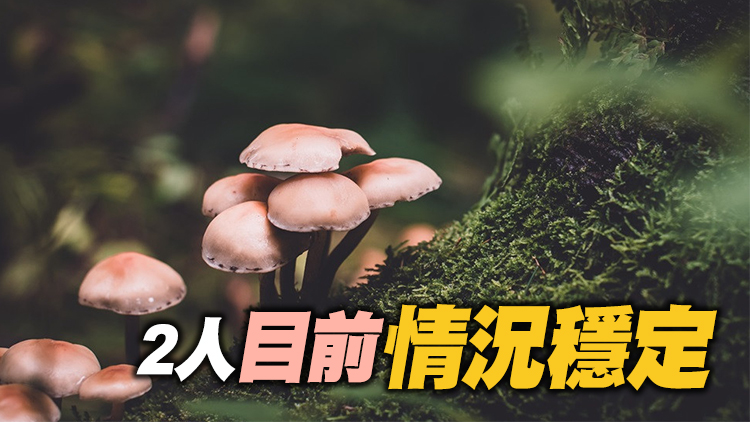 2女子疑食用野生菇類後中毒 衞生防護中心籲市民切勿採摘及進食