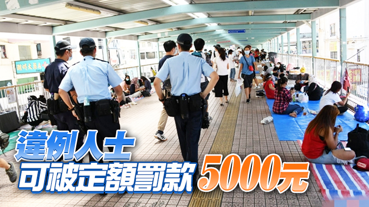 端午節假期及周末進行執法行動 勞工處籲外傭遵守社交距離措施