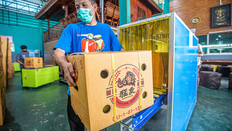 泰國國會通過2023財年政府預算草案