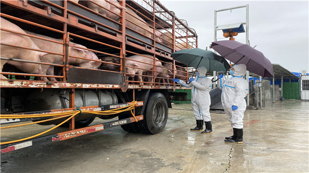 搭建綠色通道 廣州海關保障鮮活農食產品快速供港澳