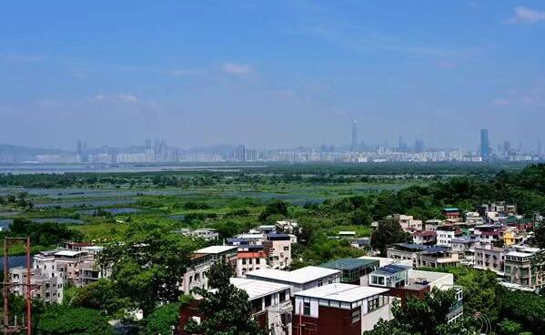 港府收回粉嶺19幅私人土地 料建4000公屋及1學校