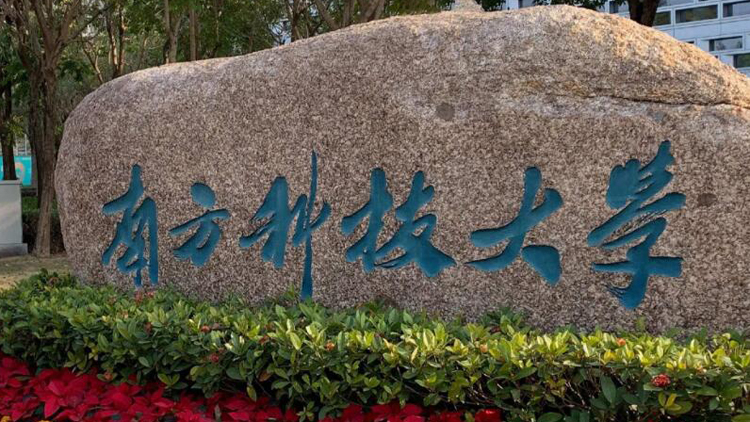 南科大今年計劃招生1290人 廣東招生計劃增長20%-30%